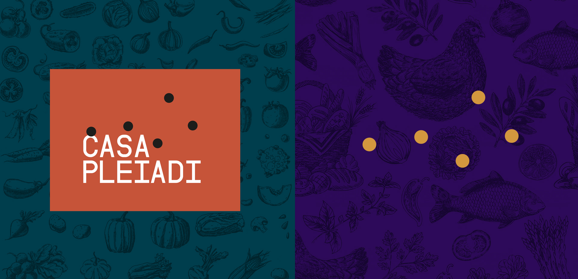 casapleiadi_logo_visual_ADD